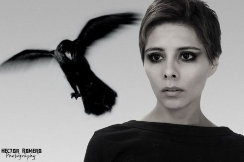 Fotografia de Hal Designs - Galeria Fotografica: Portfolio - Foto: 