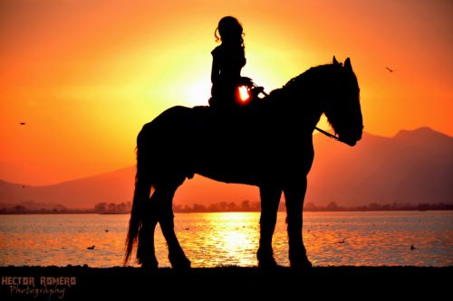 Fotografia de Hal Designs - Galeria Fotografica: Portfolio - Foto: 