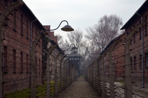 Fotografia de Hal Designs - Galeria Fotografica: Travelling - Foto: 