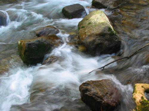 Fotografia de mus - Galeria Fotografica: variado - Foto: agua