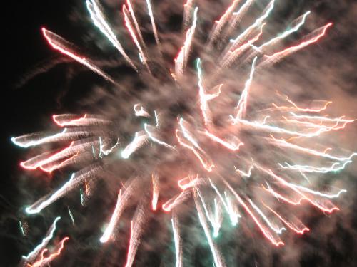 Fotografia de mus - Galeria Fotografica: variado - Foto: San Fermin