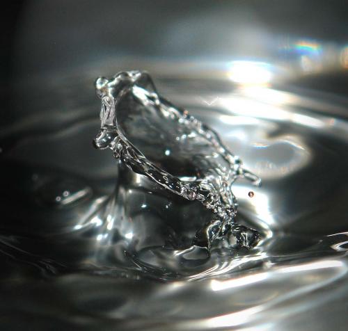 Fotografia de julio - Galeria Fotografica: novato - Foto: 