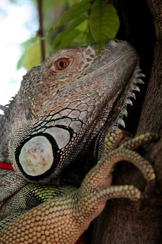 Fotografia de Hinnfo - Galeria Fotografica: Fotografas - Foto: Bixejo2