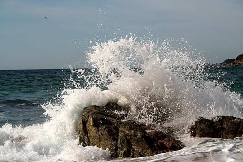 Fotografia de Hinnfo - Galeria Fotografica: Fotografas - Foto: Mar