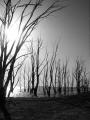 Fotos de FabinLarrea -  Foto: El Lago Epecuen, Carhue - 