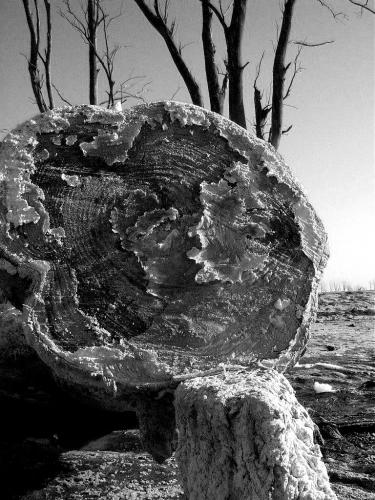 Fotografia de FabinLarrea - Galeria Fotografica: El Lago Epecuen, Carhue - Foto: 