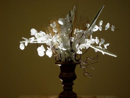 Fotografia de Maymone - Galeria Fotografica: Artstica - Foto: Delicada brancura