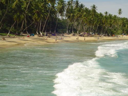 Fotografia de MEMD - Galeria Fotografica: Choroni - Foto: Simplemente Choroni