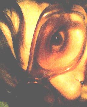 Fotografia de pinny - Galeria Fotografica: Autorretratos - Foto: 