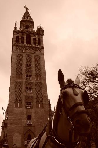 Fotografia de David Daz - Galeria Fotografica: Para empezar - Foto: 