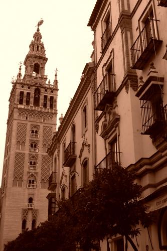 Fotografia de David Daz - Galeria Fotografica: Para empezar - Foto: 