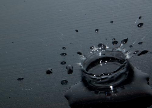 Fotografia de esteban - Galeria Fotografica: mis fotos - Foto: 