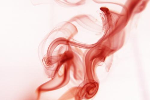 Fotografia de esteban - Galeria Fotografica: mis fotos - Foto: 