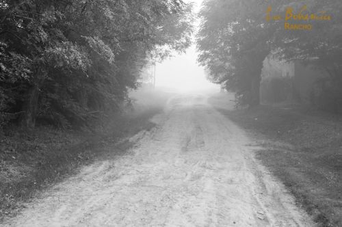 Fotografia de fernandopuig - Galeria Fotografica: aquerencie - Foto: 