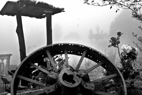 Fotografia de daniel amadeo rodriguez - Galeria Fotografica: Un paseo por el pramo andino - Foto: 