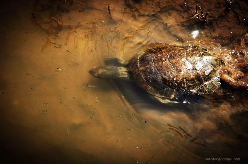 Fotografia de Terry74 - Galeria Fotografica: Naturaleza  - Foto: 