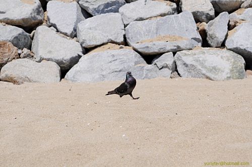 Fotografia de Terry74 - Galeria Fotografica: Naturaleza  - Foto: 