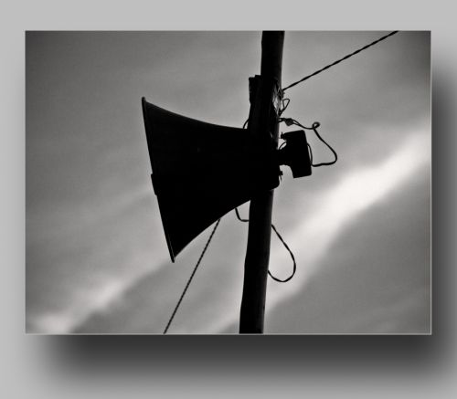 Fotografia de leonardo - Galeria Fotografica: personal - Foto: 