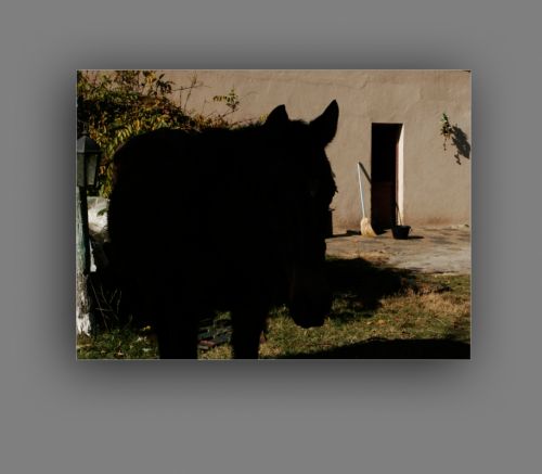 Fotografia de leonardo - Galeria Fotografica: personal - Foto: 