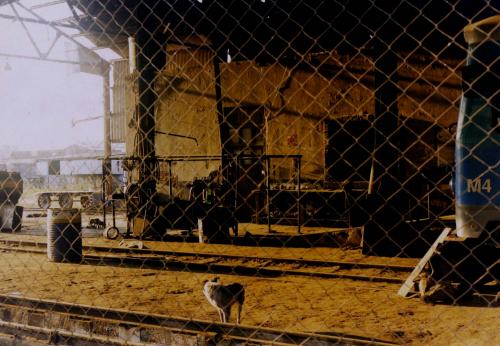 Fotografia de Sin Nombre - Galeria Fotografica: Chaco - Foto: Reposo