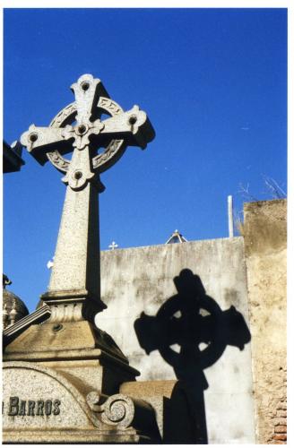 Fotografia de Sin Nombre - Galeria Fotografica: Protection - Foto: Del Sur