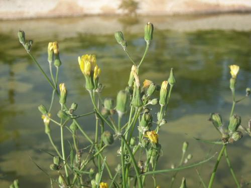 Fotografia de Nacho - Galeria Fotografica: Paisajes1 - Foto: Caas