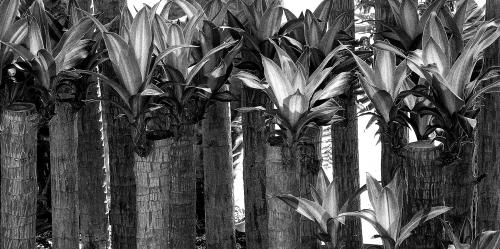 Fotografia de KARINA LAMAS - Galeria Fotografica: 