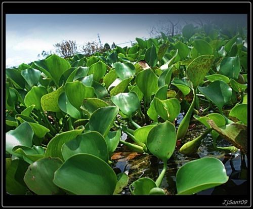 Fotografia de Jhonnywalk - Galeria Fotografica: Subiendo la Cuesta......... - Foto: Bora Bora