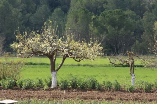 Fotografia de L'Alquimista - Galeria Fotografica: Arte y Naturaleza - Foto: 