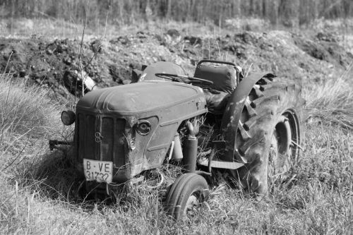 Fotografia de L'Alquimista - Galeria Fotografica: Arte y Naturaleza - Foto: 