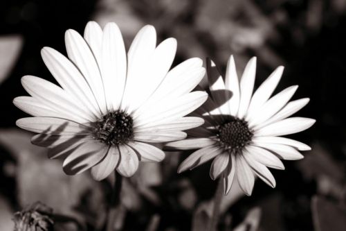 Fotografia de L'Alquimista - Galeria Fotografica: Arte y Naturaleza - Foto: 