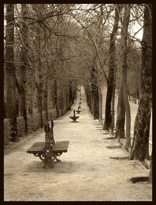 Fotografia de Lena - Galeria Fotografica: Paisaje - Foto: 