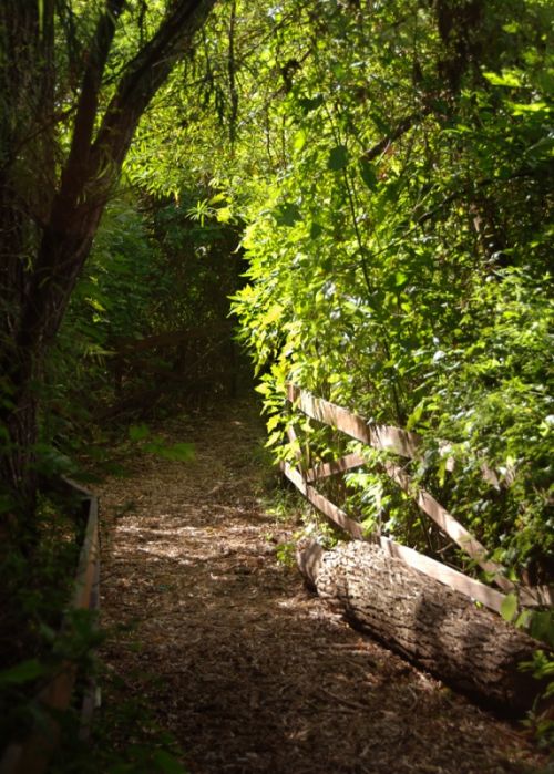 Fotografia de Lena - Galeria Fotografica: Paisaje - Foto: 