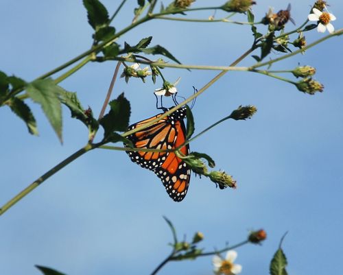 Fotografia de Lena - Galeria Fotografica: Paisaje - Foto: 