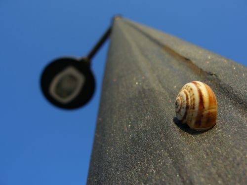 Fotografia de Aberroncho - Galeria Fotografica: Regomello - Foto: caracol