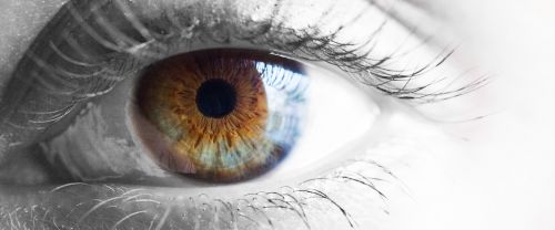 Fotografia de Ramn Narder Photo & Video - Galeria Fotografica: Book - Foto: iSight