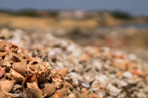 Fotografia de Ramn Narder Photo & Video - Galeria Fotografica: Book - Foto: Nacar