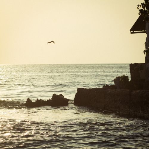 Fotografia de Ramn Narder Photo & Video - Galeria Fotografica: Book - Foto: reverie