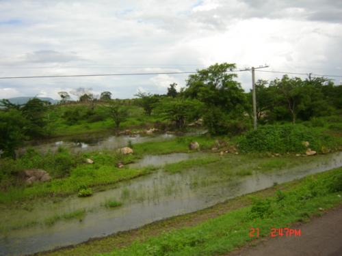 Fotografia de Creaciones - Galeria Fotografica: Imagenes de Nicaragua - Foto: Area de inundacion, Ciudad Dario, Matagalpa