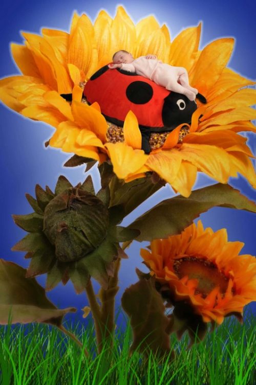 Fotografia de Estudio de fotografa y diseo grfico - Galeria Fotografica: bebs - Foto: 