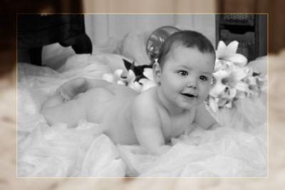 Fotografia de Sin Nombre - Galeria Fotografica: miscelnea - Foto: 