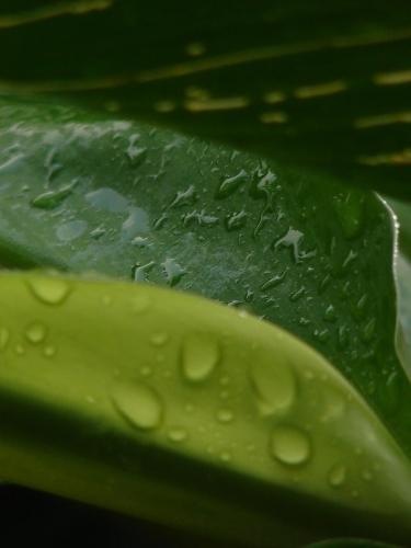 Fotografia de CARLOS ALBERTO BOHORQUEZ - Galeria Fotografica: Colombia 2 - Foto: Agua 1