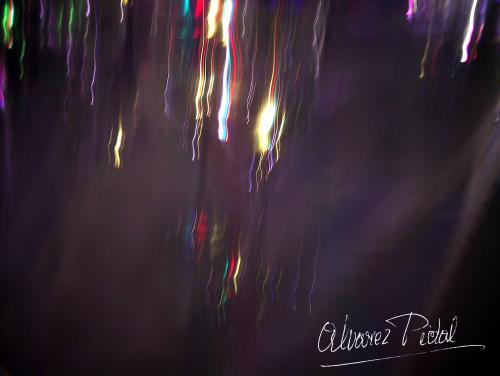 Fotografia de ALPI - Galeria Fotografica: Cóctel de colores - Foto: 014