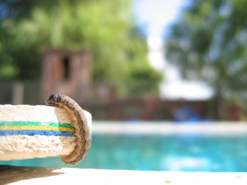 Fotografia de brian - Galeria Fotografica: varias - Foto: 100 pies en una ojota....