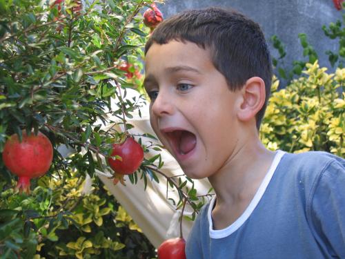 Fotografia de brian - Galeria Fotografica: mis fotos - Foto: Adan?? no Gianluca