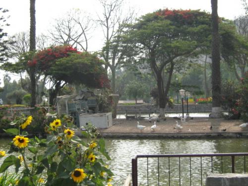 Fotografia de Lorena - Galeria Fotografica: Vistas y paisajes - Foto: Un dia de Campo