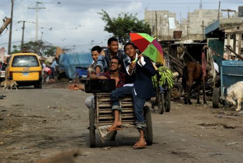 Fotografia de Emilio Schargorodsky - Galeria Fotografica: Musica - Foto: 