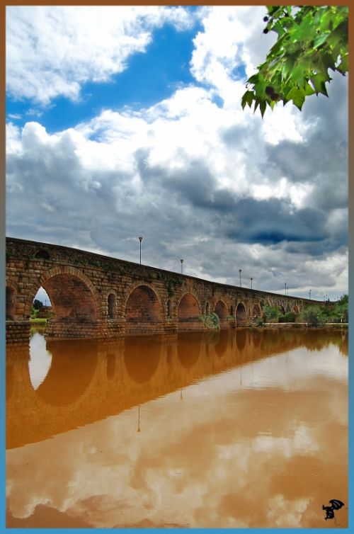Fotografia de Gargoile - Galeria Fotografica: De mi coleccion - Foto: www.horaciopaez.tk
