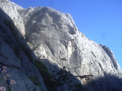 Fotografia de Martin Elorza guias de montaa - Galeria Fotografica: Escalada en la cordillera cantabrica - Foto: hoces de vegacervera