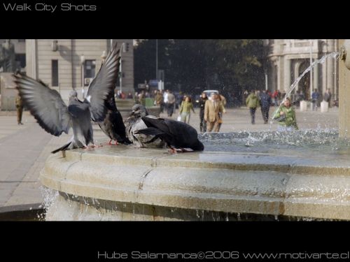 Fotografia de HubeArts - Galeria Fotografica: Motivarte - Foto: 